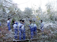 2010年12月16日莲印校区雪景